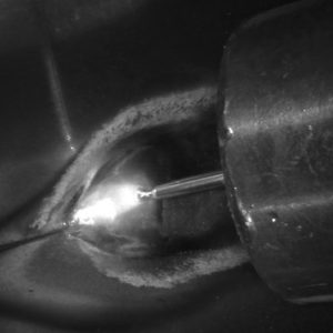 54505006318_30a4d98644_b (1)